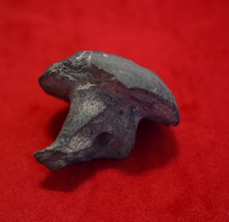 Eksponaty przekazane przez Piotra Magocha